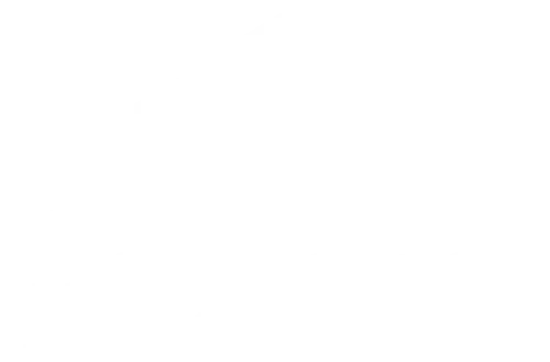 The Woodlands Property Tax Group White Logo
