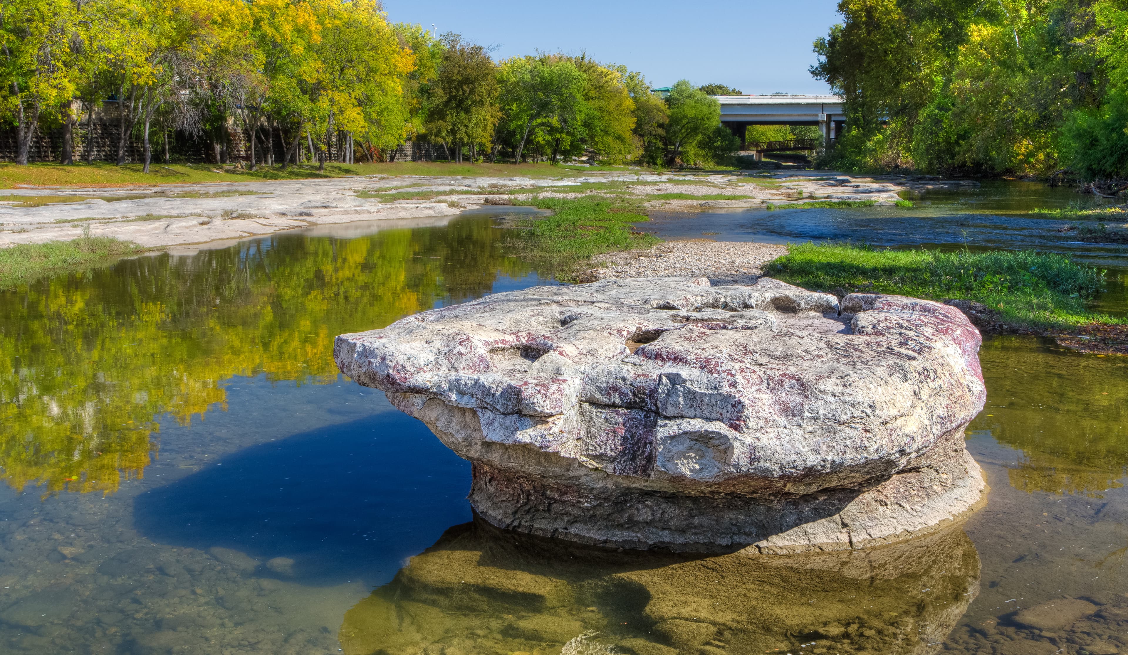 Round Rock Texas property tax consulting