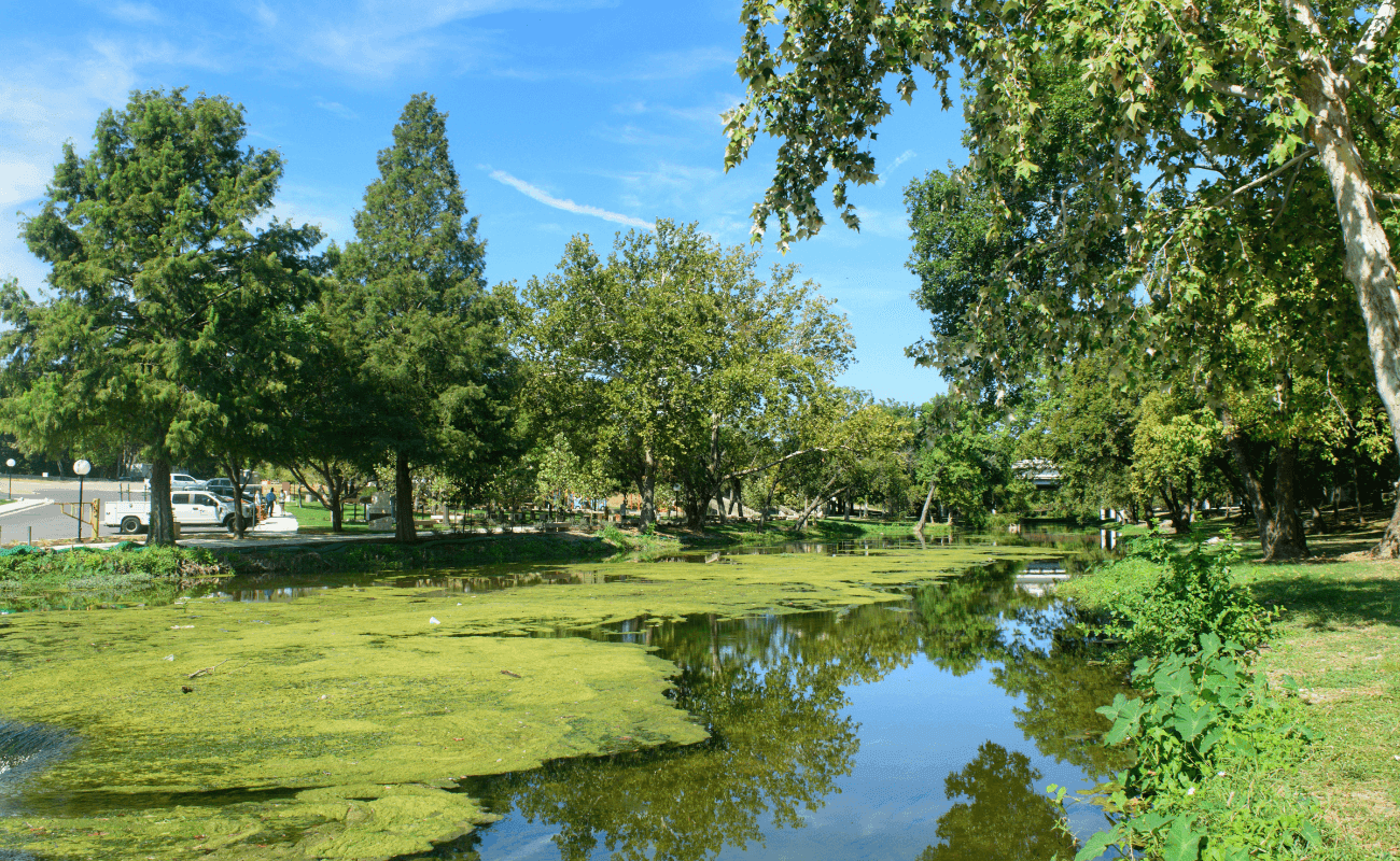 Round Rock Texas property tax consulting