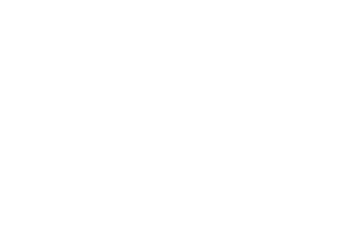 The Woodlands Property Tax Group White Logo